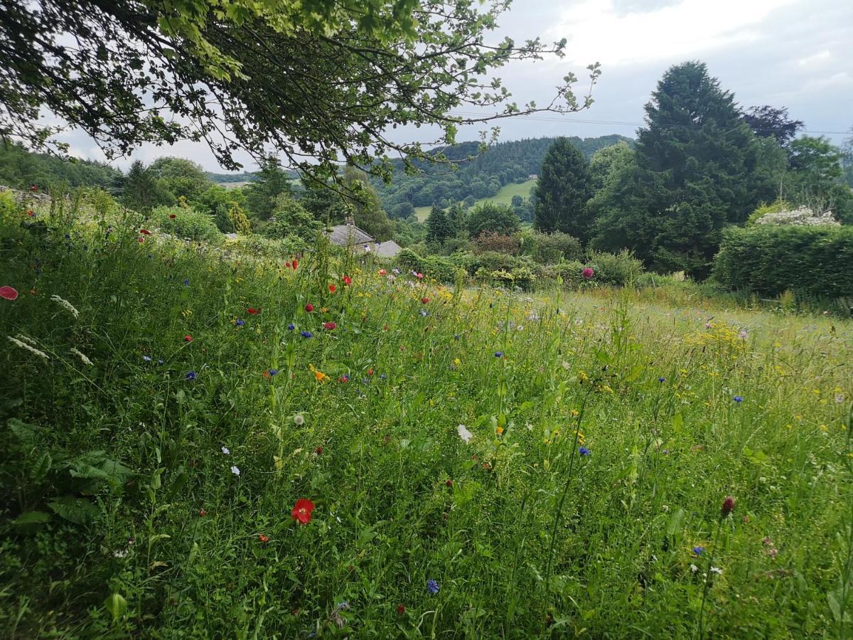 1 Bed Studio In Two Dales Near Matlock & Bakewell Buitenkant foto